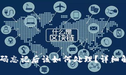 IM钱包支付密码忘记后该如何处理？详细解决方案与技巧